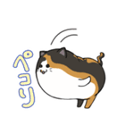 猫の日常スタンプ(毎日)（個別スタンプ：5）