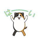 猫の日常スタンプ(毎日)（個別スタンプ：6）