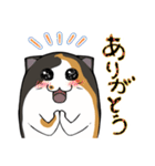 猫の日常スタンプ(毎日)（個別スタンプ：9）
