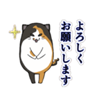 猫の日常スタンプ(毎日)（個別スタンプ：10）
