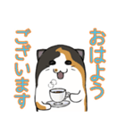 猫の日常スタンプ(毎日)（個別スタンプ：12）