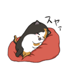 猫の日常スタンプ(毎日)（個別スタンプ：17）