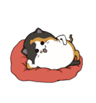 猫の日常スタンプ(毎日)（個別スタンプ：18）