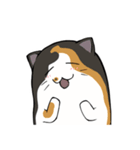 猫の日常スタンプ(毎日)（個別スタンプ：22）
