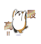 猫の日常スタンプ(毎日)（個別スタンプ：23）