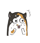 猫の日常スタンプ(毎日)（個別スタンプ：27）