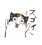 猫の日常スタンプ(毎日)（個別スタンプ：28）