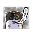 猫の日常スタンプ(毎日)（個別スタンプ：31）