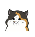 猫の日常スタンプ(毎日)（個別スタンプ：33）