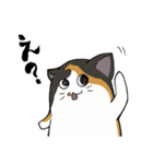 猫の日常スタンプ(毎日)（個別スタンプ：34）
