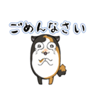 猫の日常スタンプ(毎日)（個別スタンプ：36）