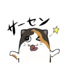 猫の日常スタンプ(毎日)（個別スタンプ：37）