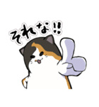 猫の日常スタンプ(毎日)（個別スタンプ：38）