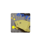 kaeru1223（個別スタンプ：3）