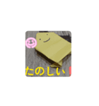kaeru1223（個別スタンプ：4）