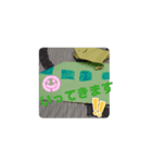kaeru1223（個別スタンプ：6）