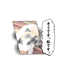 パーチクワールド（個別スタンプ：2）