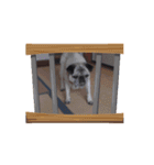 パーチクワールド（個別スタンプ：4）