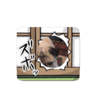 パーチクワールド（個別スタンプ：6）