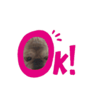 パーチクワールド（個別スタンプ：8）
