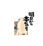 パーチクワールド（個別スタンプ：9）