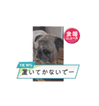 パーチクワールド（個別スタンプ：10）