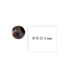 パーチクワールド（個別スタンプ：14）
