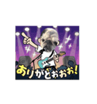 パーチクワールド（個別スタンプ：15）
