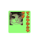 ハニーバニーちゃん prototype ver.0.3（個別スタンプ：11）
