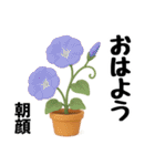 ずっと使えるデカ文字お花のスタンプ（個別スタンプ：5）
