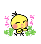 ハッピー   ピ〜ちゃん（個別スタンプ：28）