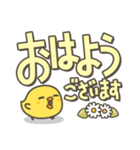 ひよことデカ文字 シンプルスタンプ（個別スタンプ：21）