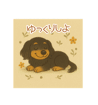ぽかぽかダックスのひとこと（個別スタンプ：12）