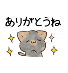 サビ猫♡ざらめさん（個別スタンプ：6）