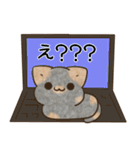 サビ猫♡ざらめさん（個別スタンプ：13）