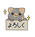 サビ猫♡ざらめさん（個別スタンプ：24）
