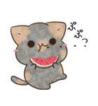 サビ猫♡ざらめさん（個別スタンプ：31）