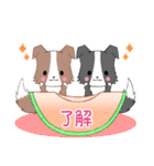 飛び出す！ちびボーダー22【夏】（個別スタンプ：4）