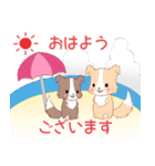 飛び出す！ちびボーダー22【夏】（個別スタンプ：7）