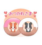 飛び出す！ちびボーダー22【夏】（個別スタンプ：8）