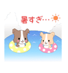 飛び出す！ちびボーダー22【夏】（個別スタンプ：19）