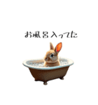 うさぎ うさぎ うさぎちゃん（個別スタンプ：7）
