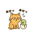 だってねこだもの 日常挨拶編（個別スタンプ：19）