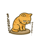 だってねこだもの 日常挨拶編（個別スタンプ：34）