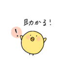 ひよこのぴよ子② ぴよ子の日常編（個別スタンプ：7）