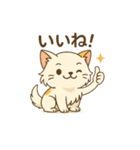 猫が送ってくれそうな、よく使うスタンプ（個別スタンプ：20）