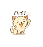 猫が送ってくれそうな、よく使うスタンプ（個別スタンプ：21）