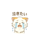 猫が送ってくれそうな、よく使うスタンプ（個別スタンプ：22）