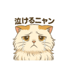 猫が送ってくれそうな、よく使うスタンプ（個別スタンプ：29）