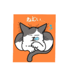 猫絵師まなこの気まぐれ猫スタンプ2（個別スタンプ：13）